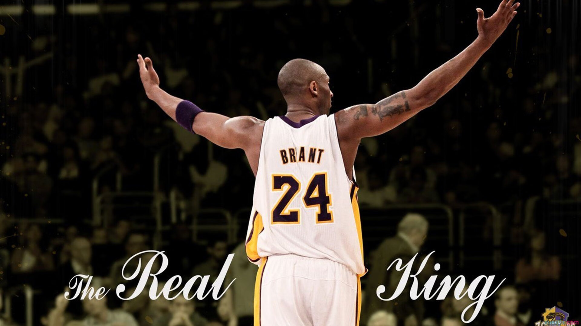 锡安·威廉姆森西决生死战狂砍42分，凯尔特人制霸湖人问鼎总冠军