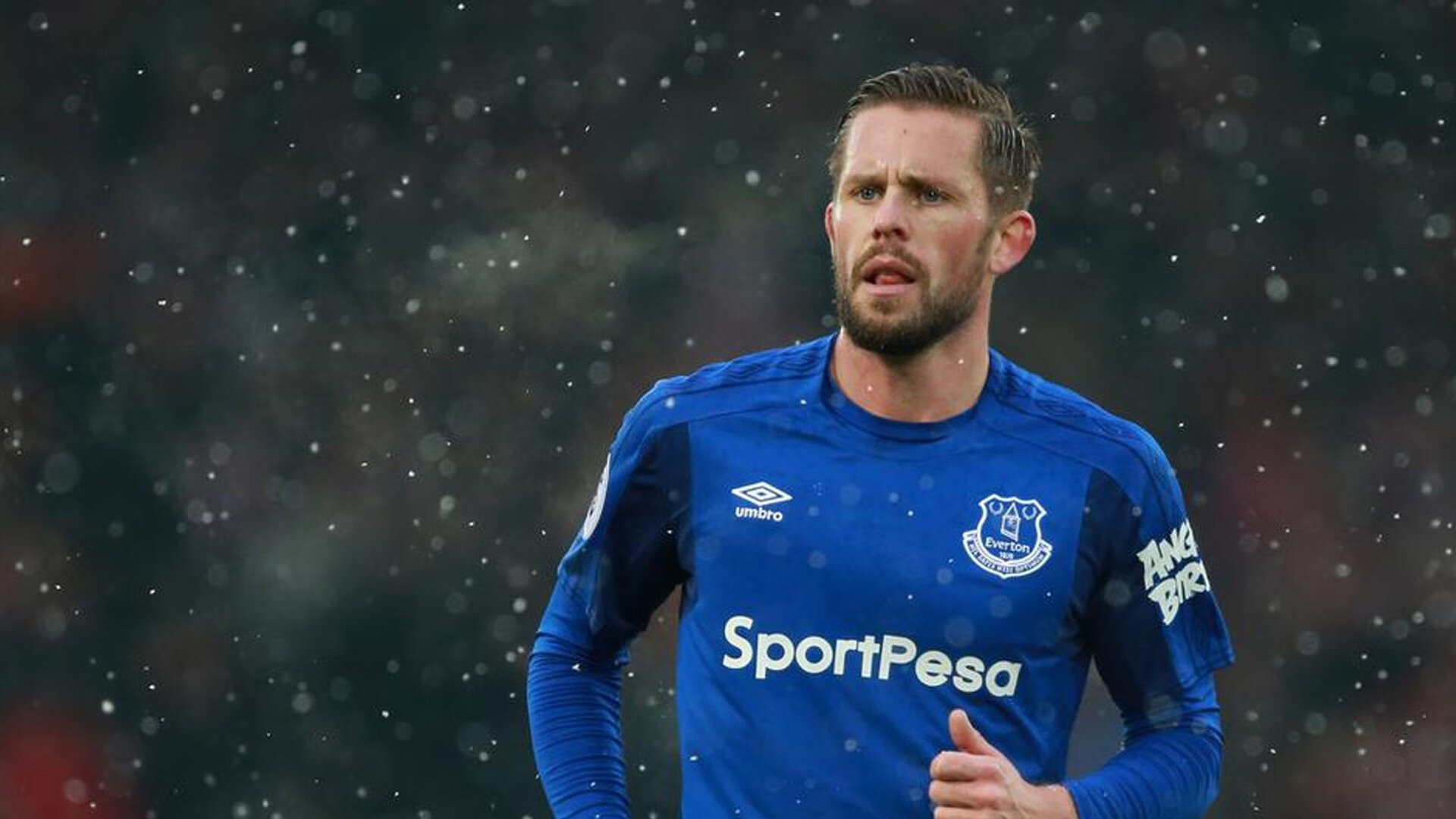 赛道上的绝对统治，法拉利碾压哈斯，维斯塔潘惊艳四座